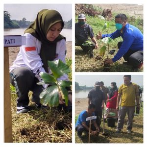 Peringati Hari Lingkungan Hidup 2022, Bupati Rezita Meylani Yopi Tanam Pohon