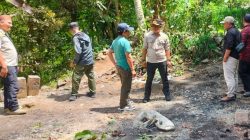 Si Jago Merah Lahap Satu Rumah Pengrajin Gula Aren