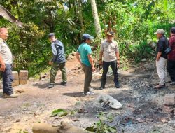 Si Jago Merah Lahap Satu Rumah Pengrajin Gula Aren